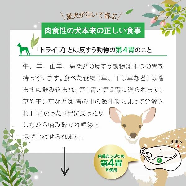 ドッグフード ウェット サーモン＆グリーントライプ 185g  NUTRIPE PURE ニュートライプ ピュア 全年齢用 犬 総合栄養食 | NUTRIPE | 06