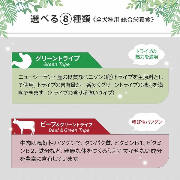 【まとめ買い24缶×185g】サーモン＆グリーントライプ 185g 全年齢用 ドッグフード NUTRIPE PURE ニュートライプ ピュア｜fantasyworld｜16