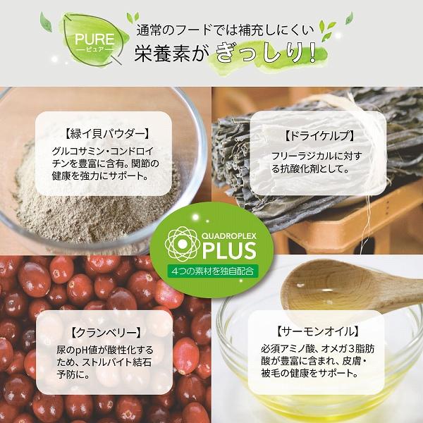 ドッグフード ウェット ウナギ＆グリーントライプ 185g NUTRIPE PURE ニュートライプ ピュア 成犬用 犬 総合栄養食 | NUTRIPE | 04