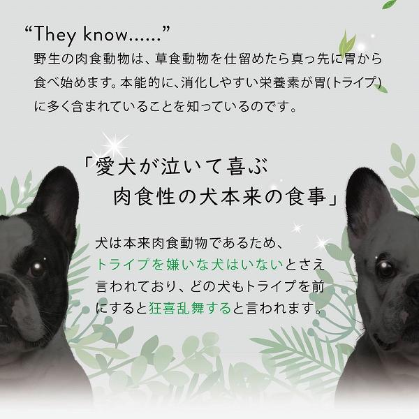 ドッグフード ウェット ウナギ＆グリーントライプ 185g NUTRIPE PURE ニュートライプ ピュア 成犬用 犬 総合栄養食 | NUTRIPE | 09