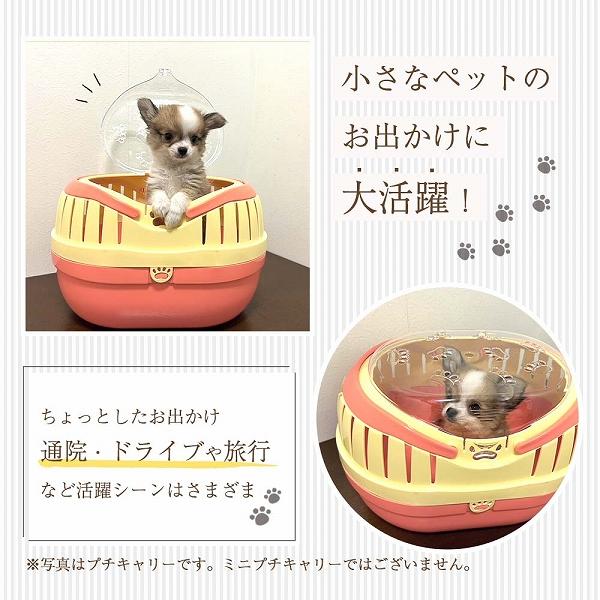 組立発送 ミニプチキャリー  子犬 子猫 小動物 鳥用キャリー 耐荷重2kgまで | FANTASY WORLD | 01
