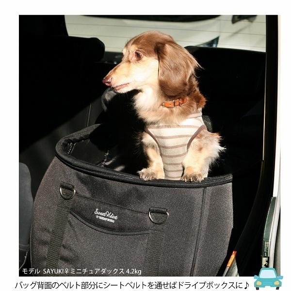 FANTASY WORLD（ファンタジーワールド） バック単品 コンパクトな多