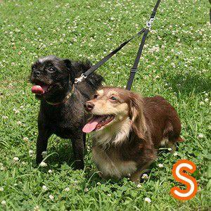 二頭匹リード 二頭引きリード 犬 リード おしゃれ 多頭飼いに便利！２頭引きアイテム ファンタジー ツインリード Ｓ 【ポスト投函可】 | FANTASY WORLD