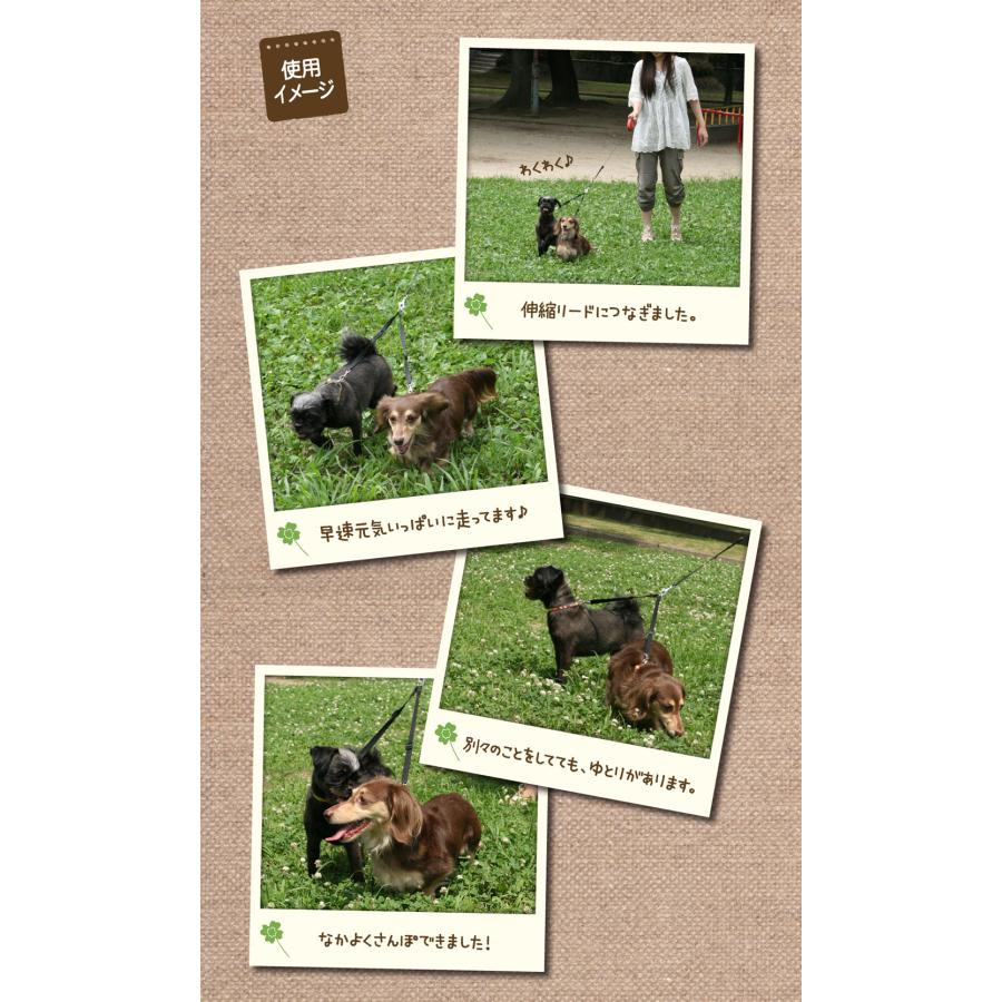 二頭匹リード 二頭引きリード 犬 リード おしゃれ 多頭飼いに便利！２頭引きアイテム ファンタジー ツインリード Ｌ 【ポスト投函可】 | FANTASY WORLD | 03