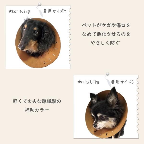 在庫一掃セール 傷口をなめて困る時に ベッツクラフトカラー L 犬 ペット用 介護 手術 ケガ Vet’s Kraft Collar｜fantasyworld｜04