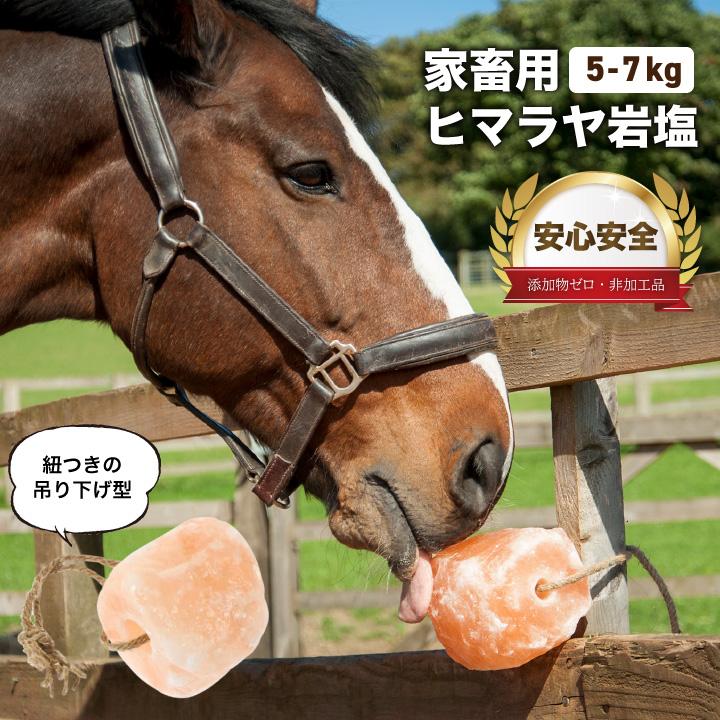 アニマルソルト ヒマラヤ岩塩 家畜 アニマル 約5〜7kg ロープ付き 熱中症 馬 牛 ペット 動物 塩分 ミネラル補給 塩 ヤギ 豚 塩分 羊 ミネラル ピンクソルト（Yahoo!・ヒマラヤ岩塩の店 AVANTIEAST）