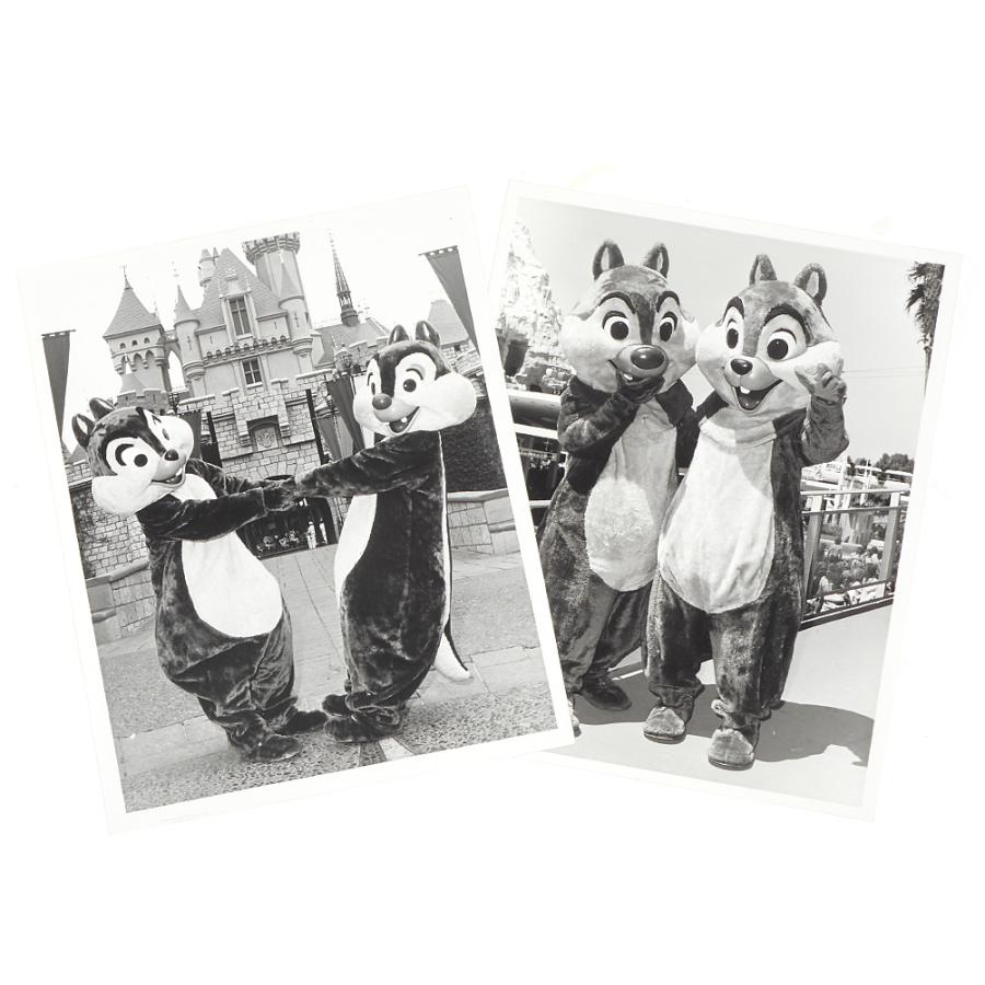 チップ&デール キャラクターグリーティング ディズニーランド社内用