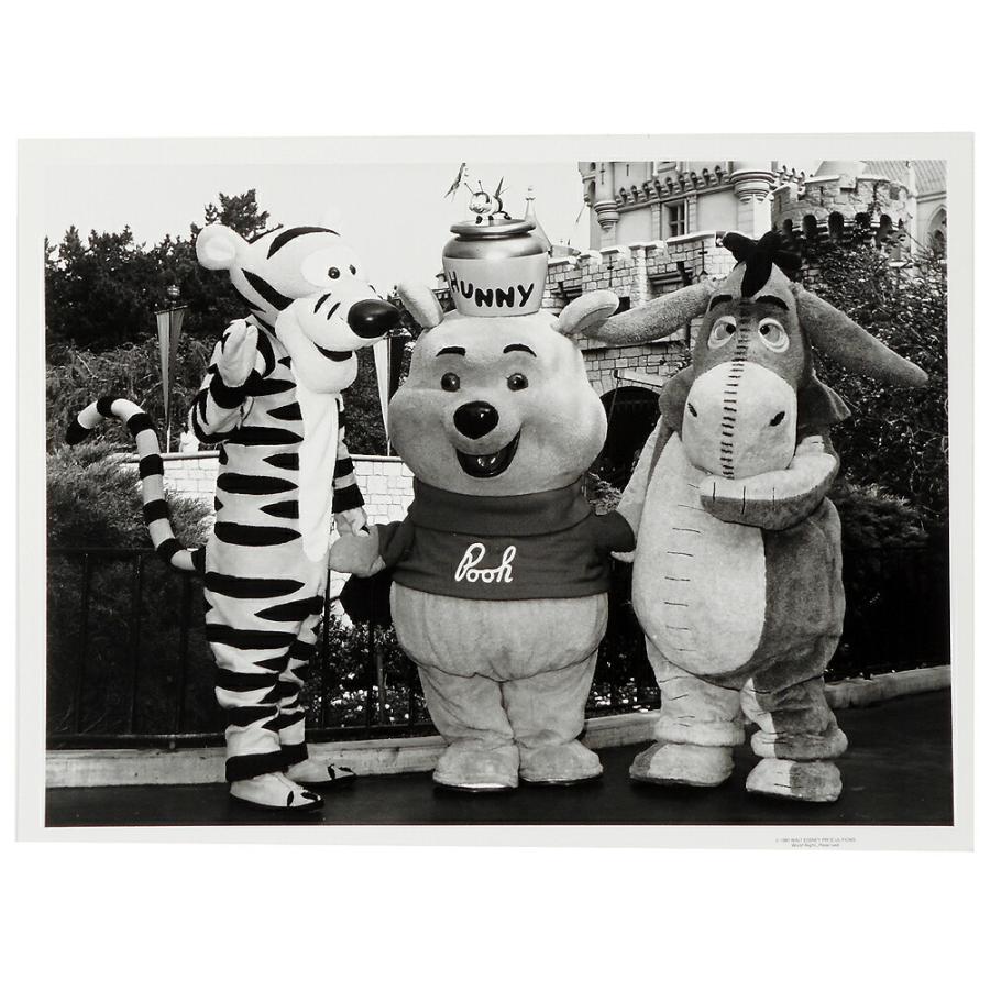 くまのプーさん プーさん ティガー イーヨ キャラクターグリーティング ディズニーランド社内用 資料と生写真セット 1981年 Disneyland 772 8555 Far Out 通販 Yahoo ショッピング