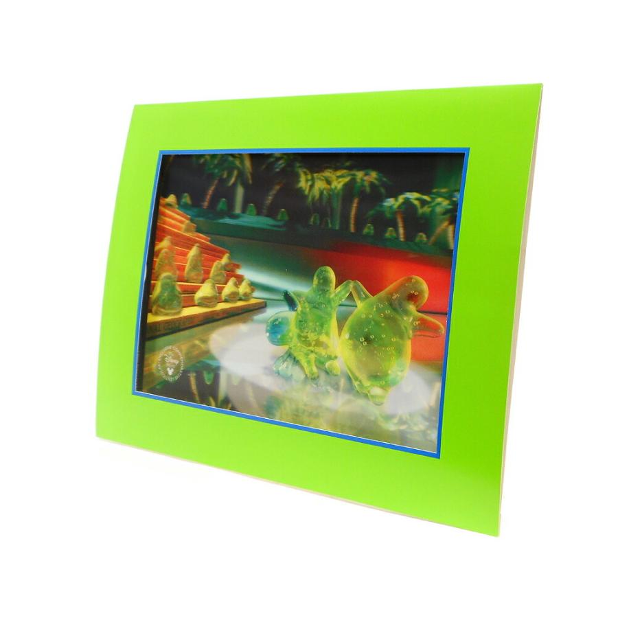 フラバー レンチキュラー 3D アート ディズニーストアプロモーション  