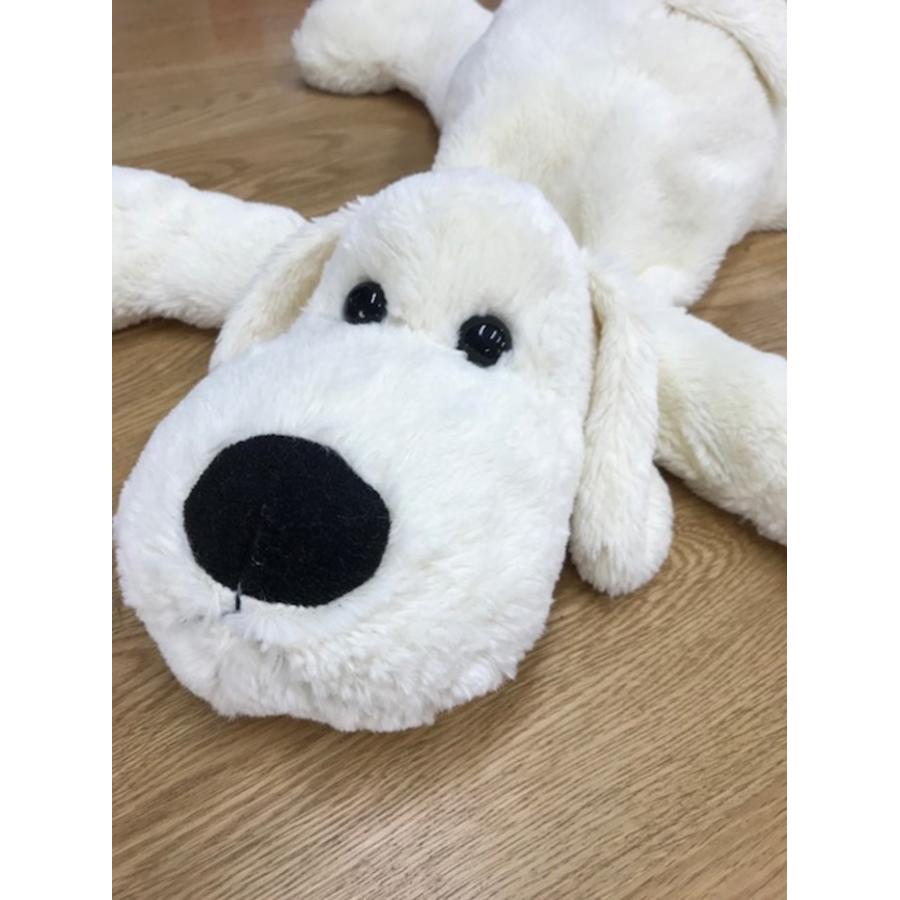 100 Epic Best白い 犬 ふわふわ 最高の花の画像