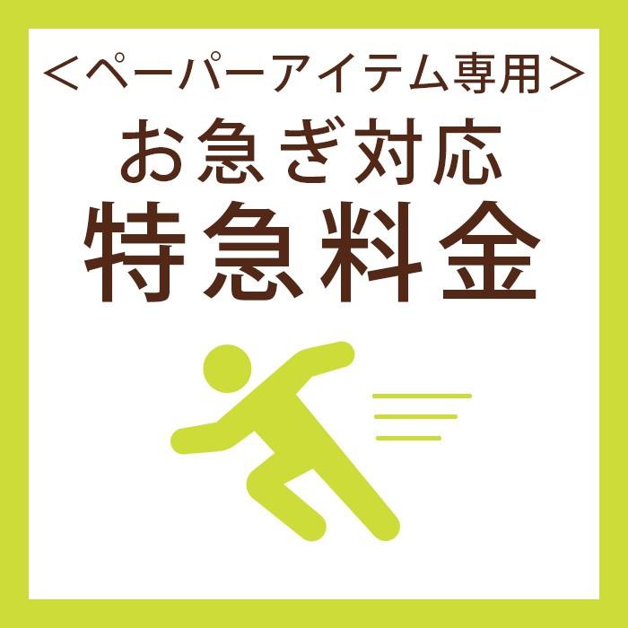 ペーパーアイテムご注文用 / 完成品オーダーオプション お急ぎ対応「特急料金」 | 