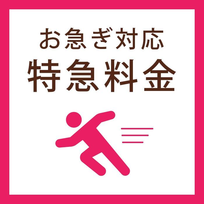 お急ぎ対応オプション / 「特急料金」 | 