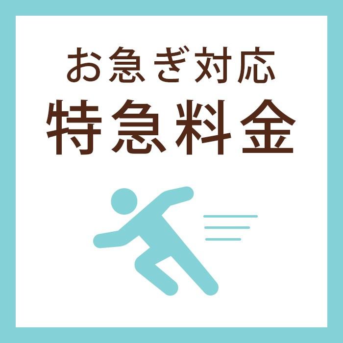 お急ぎ対応オプション / 「特急料金」 | 