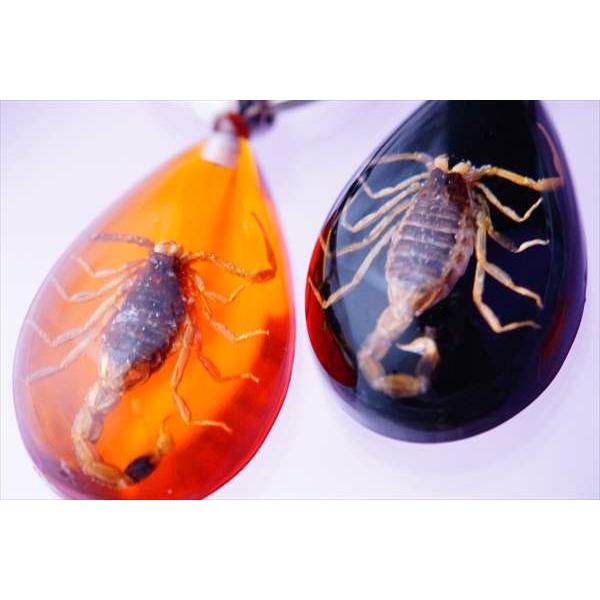 蠍」入りアクリル樹脂・ドロップパーツ付き 昆虫キーホルダー