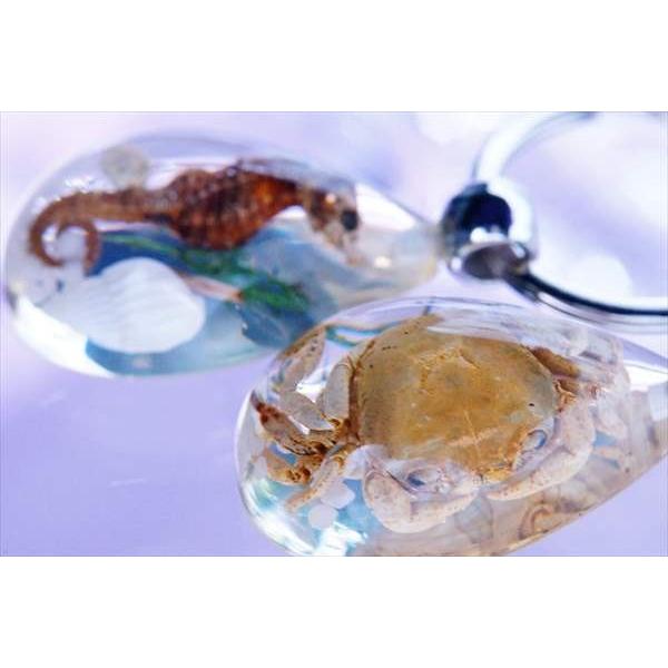 タツノオトシゴor蟹」入りアクリル樹脂・ドロップパーツ付き