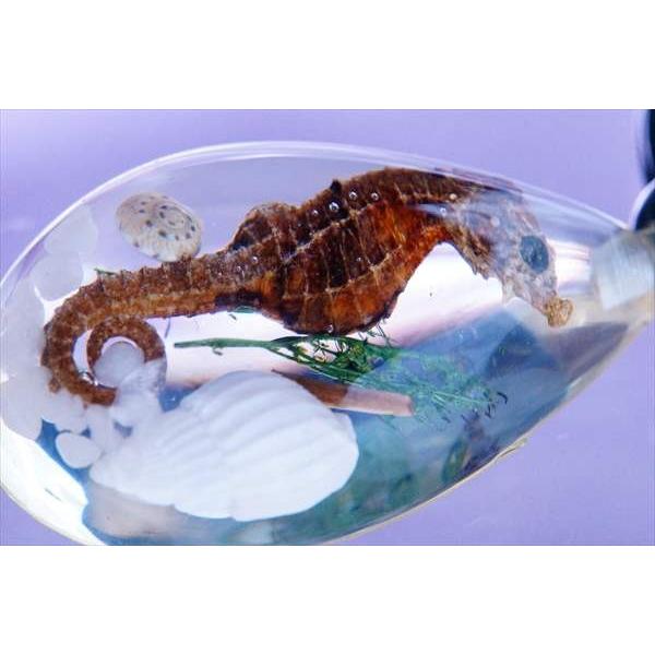 【レア・良品】TOD'S　トッズ　お魚　キーホルダー ケース レア・良品】TOD'S トッズ お魚 キーホルダー コインケース