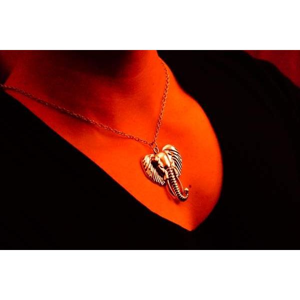 アフリカゾウ エレファント アニマル 牙 メンズ ペンダント ネックレス