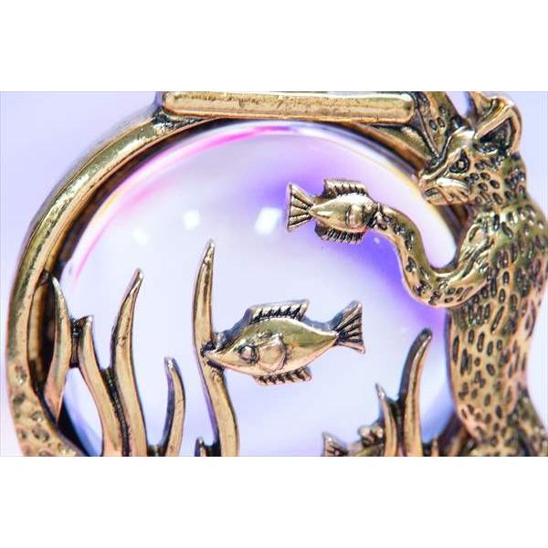 猫 キャット 熱帯魚 海藻 水槽 アクアリウム イエローゴールド ガラス