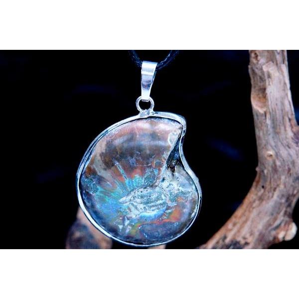 アンモナイト 古代 化石 貝 シェル オウムガイ メンズ ペンダント