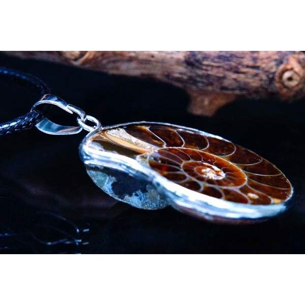 アンモナイト 古代 化石 貝 シェル オウムガイ メンズ ペンダント