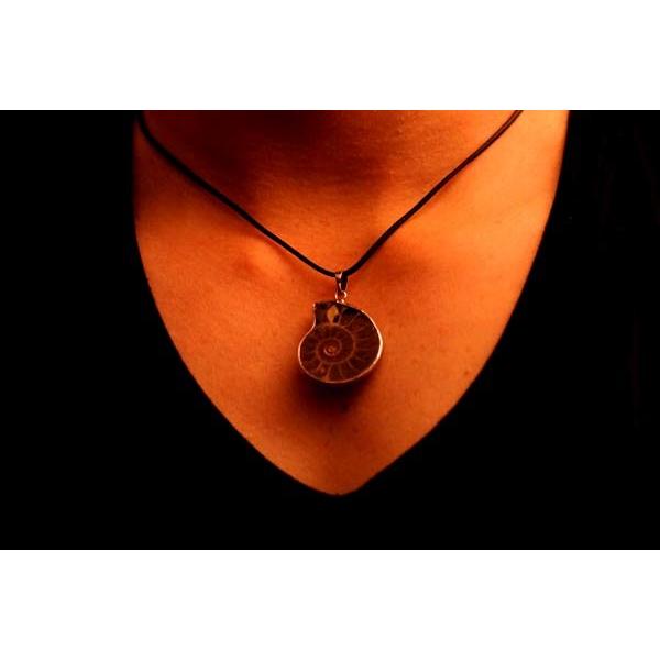 アンモナイト 古代 化石 貝 シェル オウムガイ メンズ ペンダント ネックレス B 4300 アクセサリー通販 Farice 通販 Yahoo ショッピング