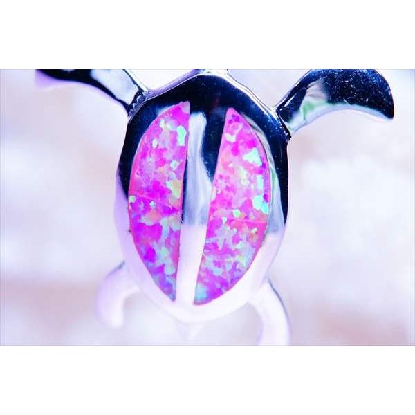 天然オパール　ハワイアンピアス　ホヌ Amazon.co.jp: レイラニ ハワイアンジュエリー 亀 ホヌ（海亀