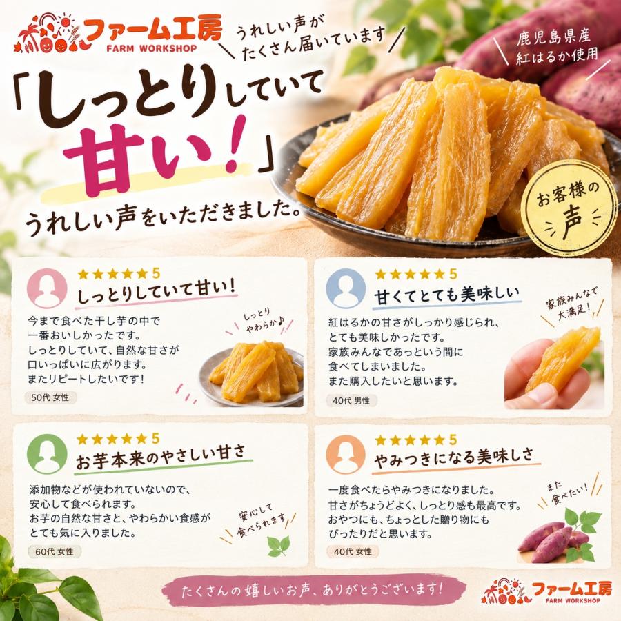 干し芋 国産 紅はるか 無添加 100g 焼いもから作った干し芋 鹿児島県産