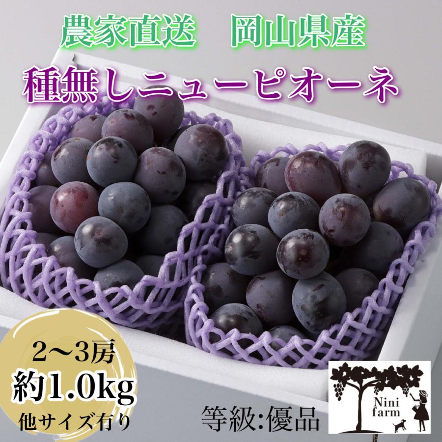 農家直送】こだわりのニューピオーネ 岡山県産 2房詰め 優品 約1.0kg