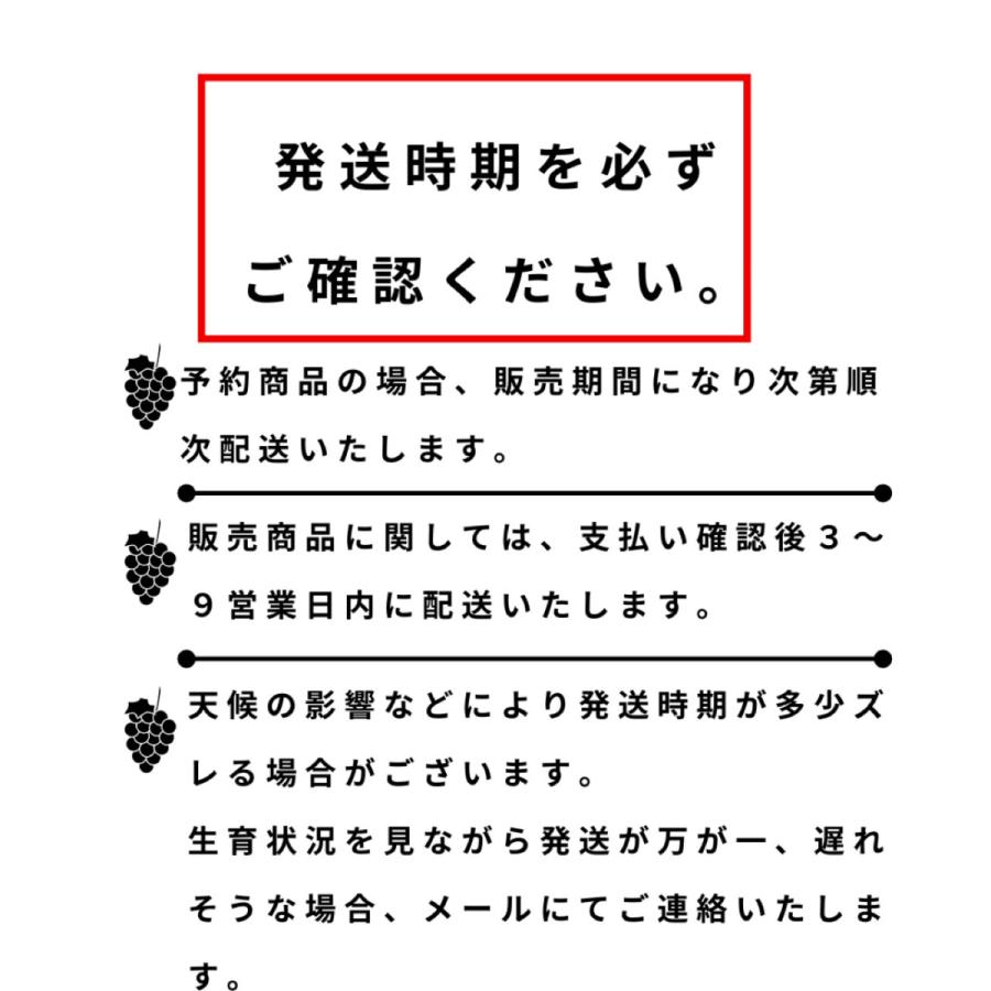 【農家直送】厳選こだわりのニューピオーネ＆シャインマスカット 詰め合わせ 秀品ランク ギフト お中元 高級 葡萄 ぶどう フルーツ 果物｜farm-nagomi｜11