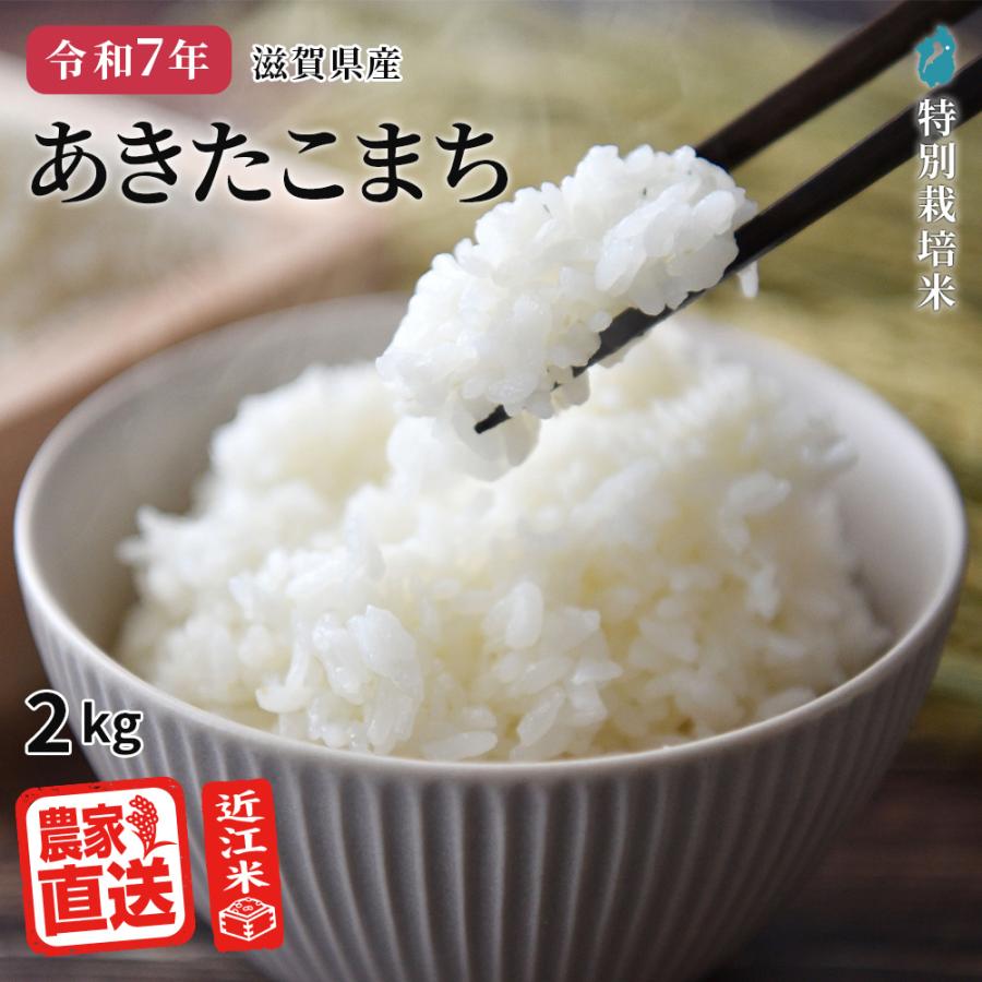 あきたこまち 白米 2kg 2025年産 米 令和7年 お米 農家直送 近江米 