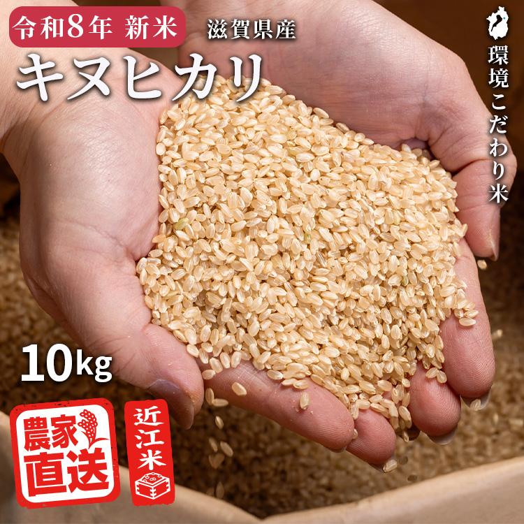 キヌヒカリ 【2026年産新米】 玄米 10kg 2026年産 米 令和8年 お米