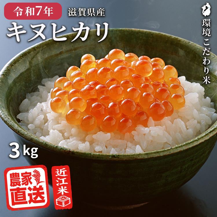 キヌヒカリ 白米 3kg 2025年産 米 令和7年 お米 農家直送 近江米 滋賀