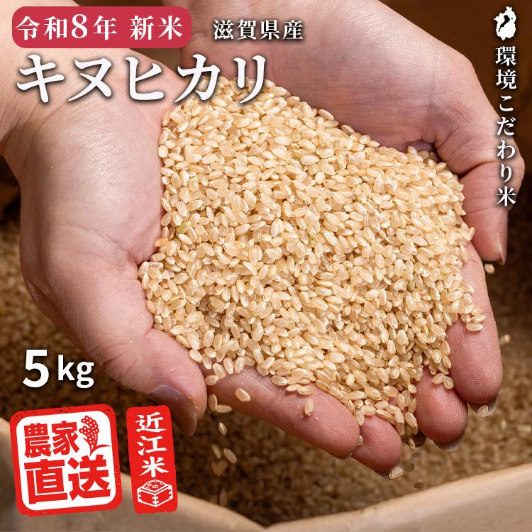 キヌヒカリ 【2026年産新米】 玄米 5kg 2026年産 米 令和8年 お米 農家
