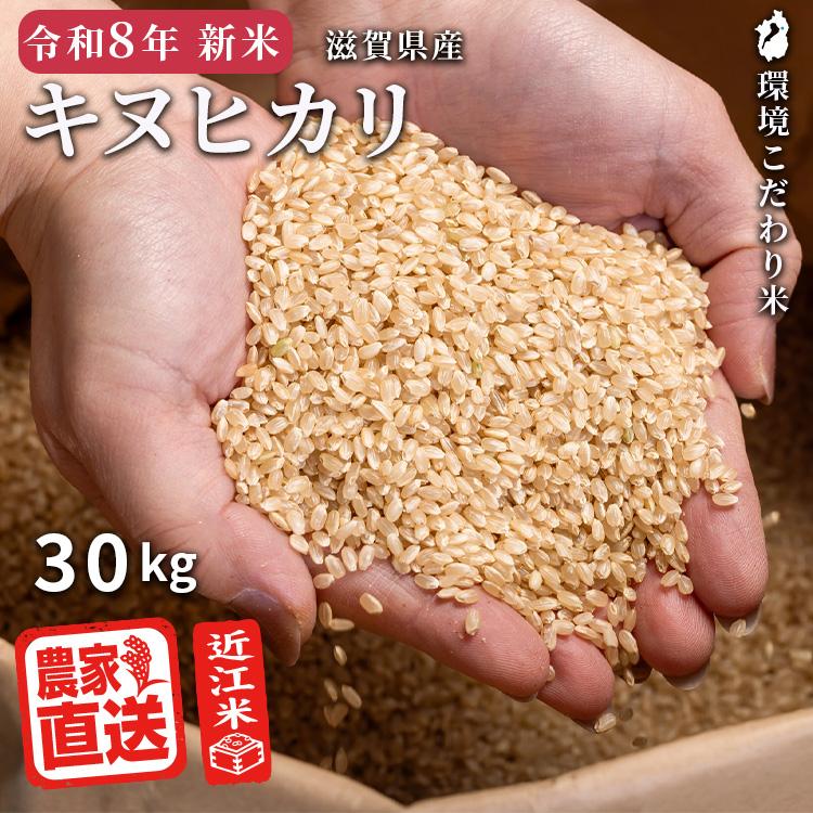 キヌヒカリ 【2026年産新米】 玄米 30kg 2026年産 米 令和8年 お米