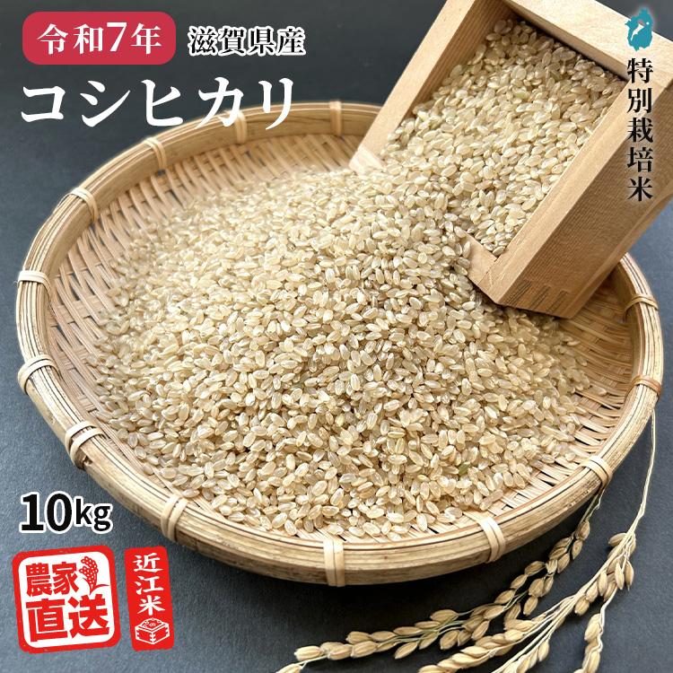 【最終　お得　送料込】令和7年産コシヒカリ　滋賀の米 25kg 令和7年産】 滋賀県産 特栽環境こだわり米コシヒカリ 5kg: 近江の味彩