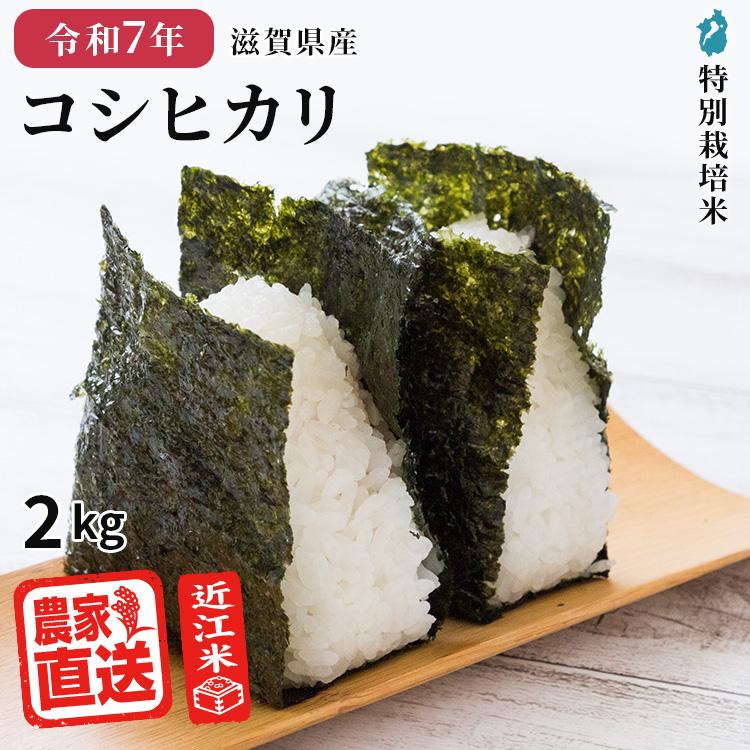 コシヒカリ 白米 2kg 2025年産 米 令和7年 お米 農家直送 近江米 滋賀