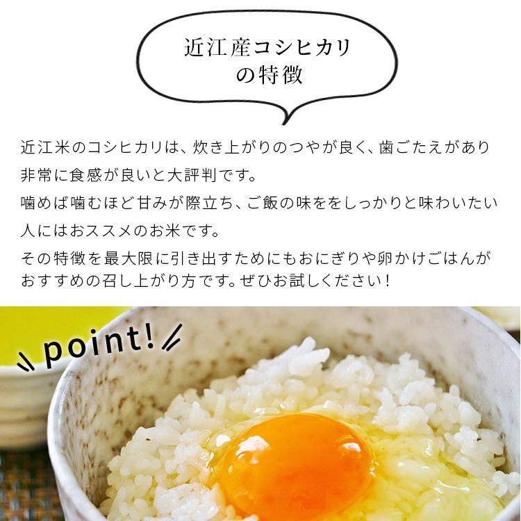 注目の福袋! 近江米 滋賀県産コシヒカリ100% 2kg産地直送 近江米 滋賀県産 コシヒカリ100% 令和4年産 白米2kg 産地直送