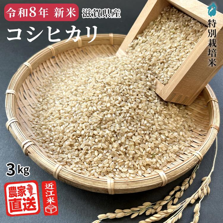 コシヒカリ 滋賀県 令和7年度産 玄米15キロ お米 コシヒカリ 滋賀県 令