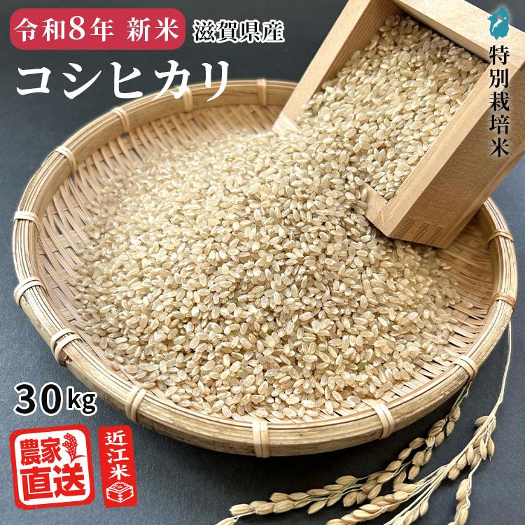 コシヒカリ 【2026年産新米】 玄米 30kg 2026年産 米 令和8年 お米
