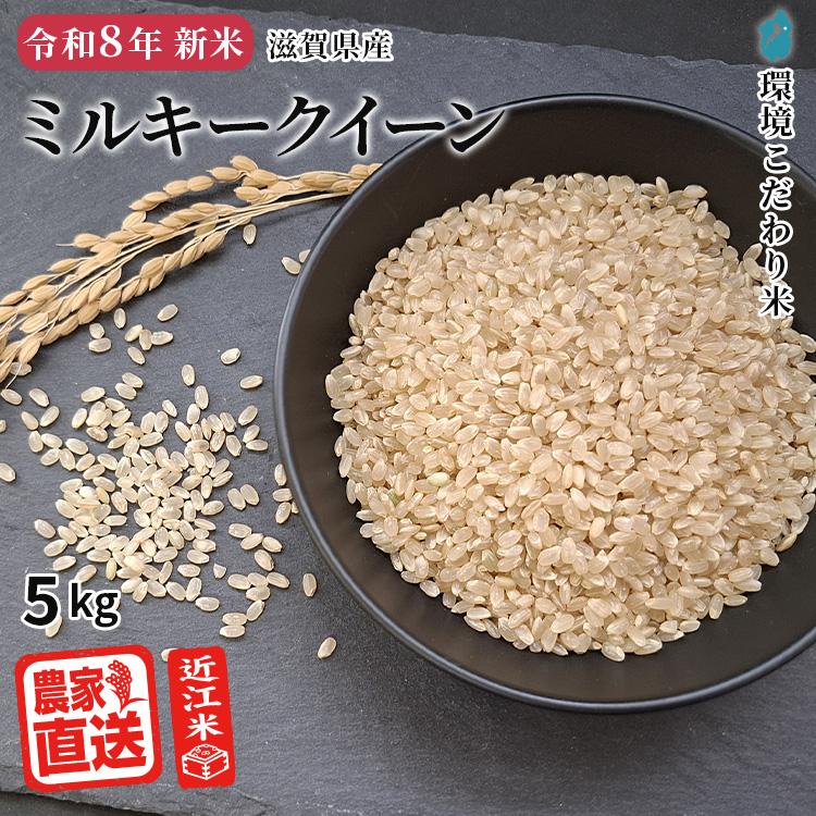 ミルキークイーン 【予約販売｜2026年産新米｜9月中旬収穫予定】 玄米