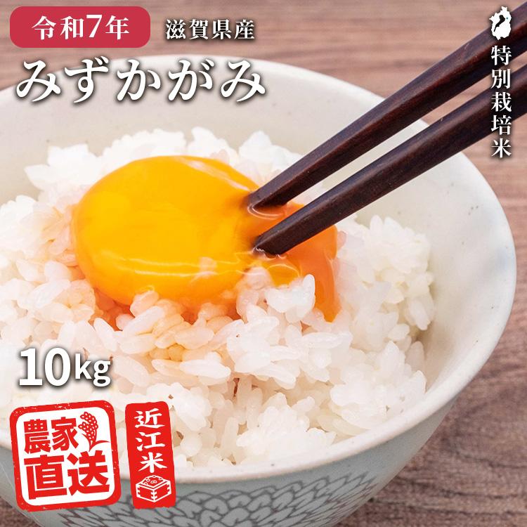 みずかがみ 白米 10kg 2025年産 米 令和7年 お米 農家直送 近江米 滋賀