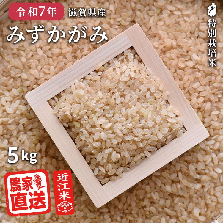 R7年産　近江米(玄米) 令和7年産】近江米みずかがみ玄米30kg | 滋賀県甲賀市 | ふるさと納税