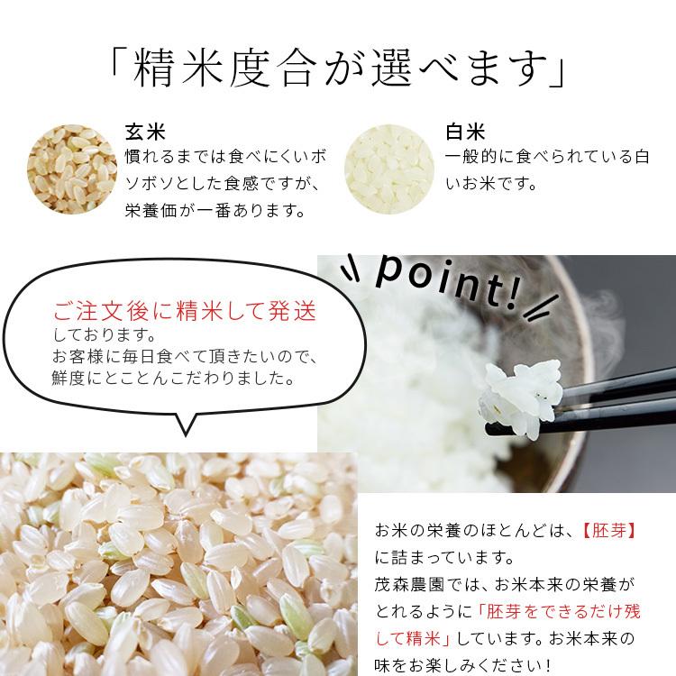 米 日本晴れ 10kg 令和4年 米 送料無料 お米 玄米 白米 精米無料 農家直送 近江米 滋賀県産 Nippon 10kg 株式会社茂森農園 通販 Yahoo ショッピング