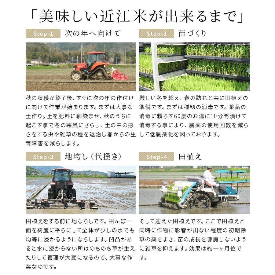 米 日本晴れ 10kg 令和4年 米 送料無料 お米 玄米 白米 精米無料 農家直送 近江米 滋賀県産 Nippon 10kg 株式会社茂森農園 通販 Yahoo ショッピング
