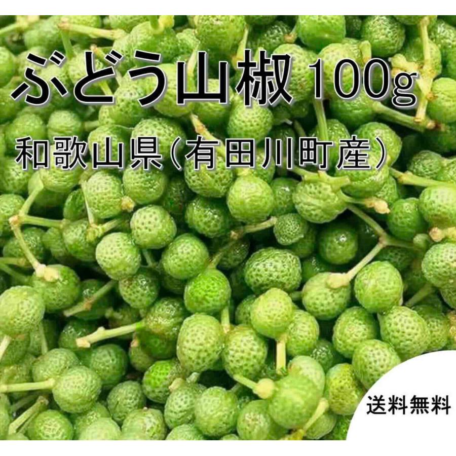 実山椒 100g 和歌山産 紀州ぶどう山椒 青山椒 佃煮用 オイル用 送料無料 予約 しみず農園（Yahoo!・しみず農園）
