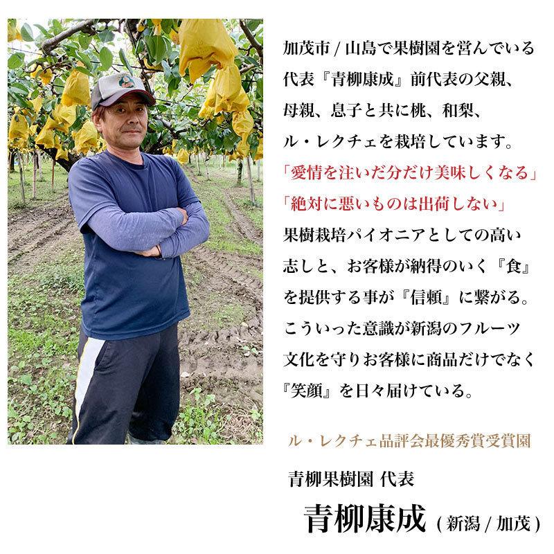 ルレクチェ 洋梨 良品 2kg (5〜6玉) 生産者・青柳果樹園 新潟県 ルレクチェ 洋梨 良品 2kg (5〜6玉) 生産者・青柳果樹園 新潟県
