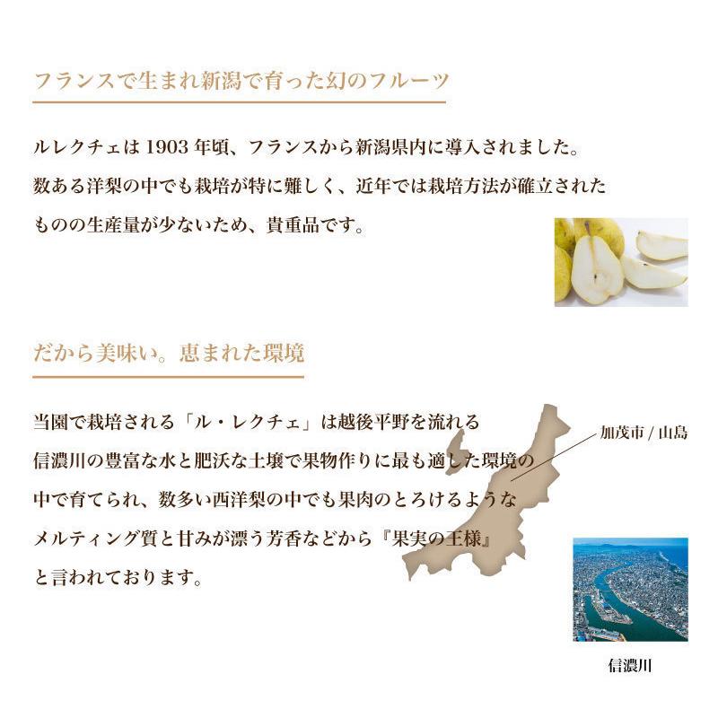 ルレクチェ 洋梨 良品 4kg (9〜10玉) 生産者・青柳果樹園 新潟県産 お歳暮 お中元 送料無料 ギフト 贈り物 贈答品｜farmersplaceniigata｜03