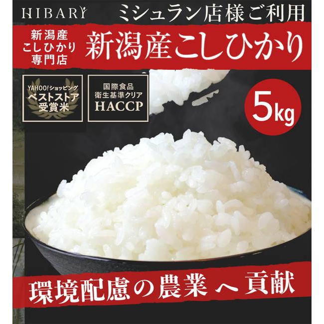 数量限定❗️令和5年新米コシヒカリ20㎏鹿児島県産 精米済 通販