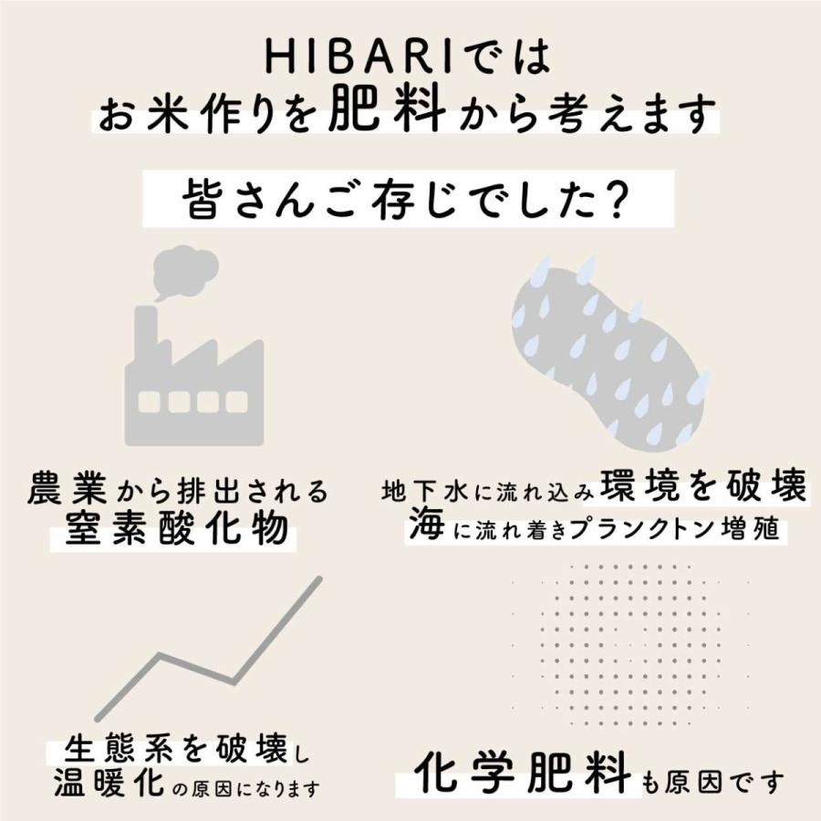 米 お米 魚沼産コシヒカリ 10kg 白米 玄米 5kg 2袋 選べる 令和2年産 送料無料 新潟県産 ミシュラン店様御用達米 新潟産こしひかりhibari 通販 Paypayモール