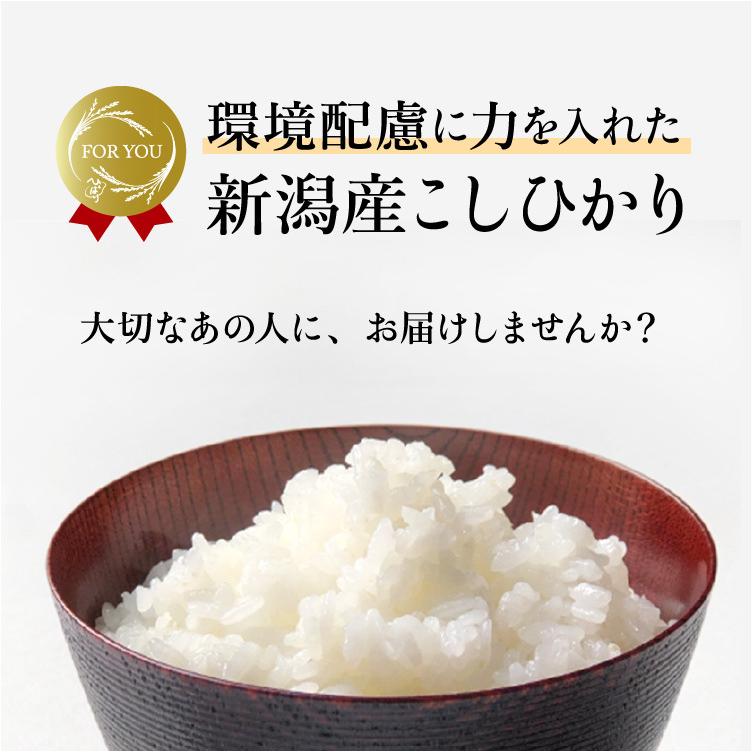 76%以上節約 米 お米 新潟産こしひかり限定プチギフト 450g 3合2種セット こしひかり コシヒカリ 産地限定 産地直送 贈り物 お礼やお返しにも babylonrooftop.com.au 76%以上節約 米 お米 新潟産こしひかり限定プチギフト 450g 3合2種セット こしひかり コシヒカリ 産地限定 産地直送 贈り物 お礼やお返しにも babylonrooftop.com.au